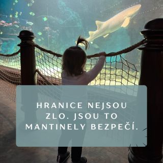 Poslední dobou mám pocit, že respektující výchova se stala takovým otloukánkem. Někdo vidí dítě, které křičí v obchodě, a...